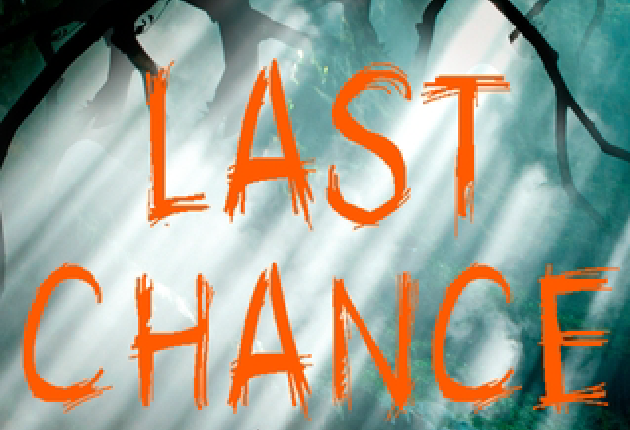 Last chance